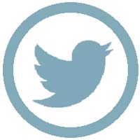 twitter-partenaire-logo-bird-gentle-studio